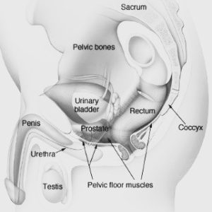 Pelvic Pain in Men
