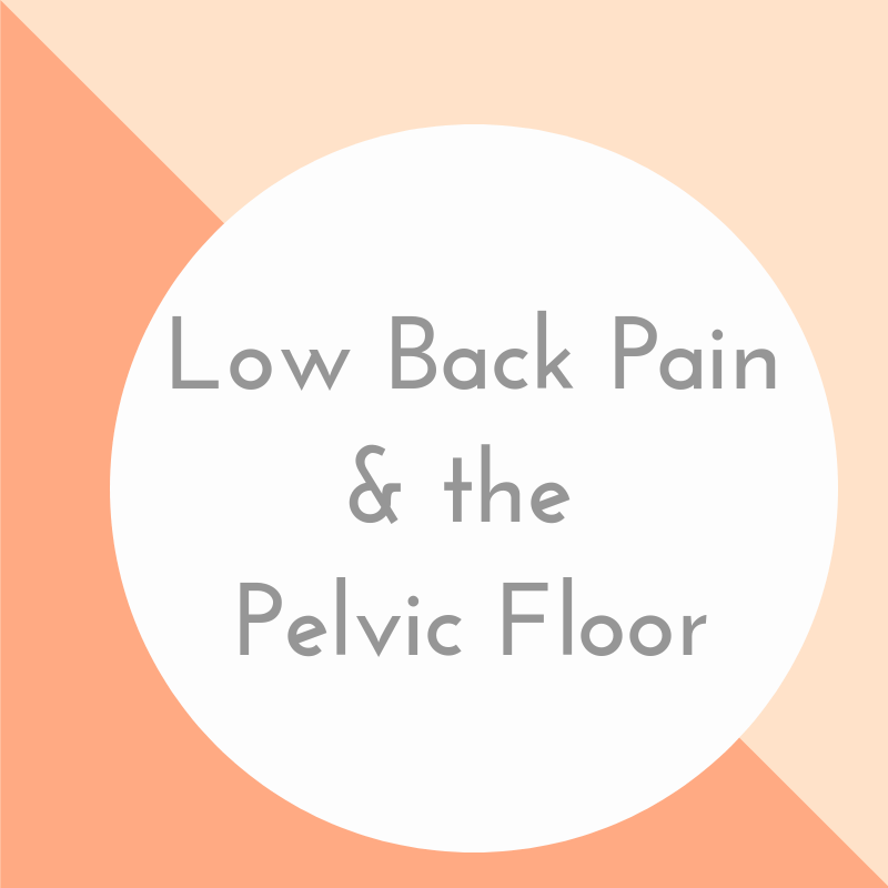 Low Back Pain And The Pelvic Floor