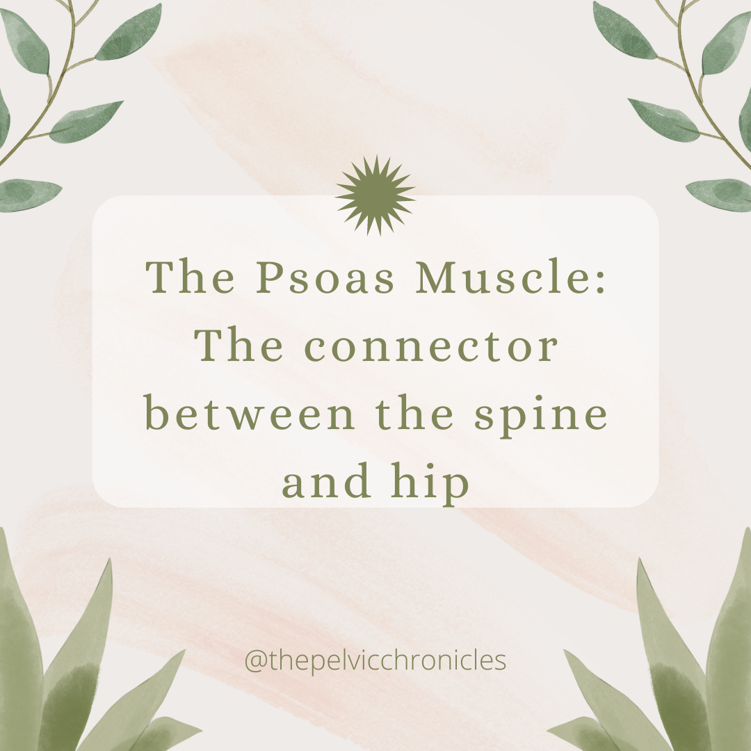 The Psoas Muscle: The Forth Horseman In Pelvic And Spinal Stability.