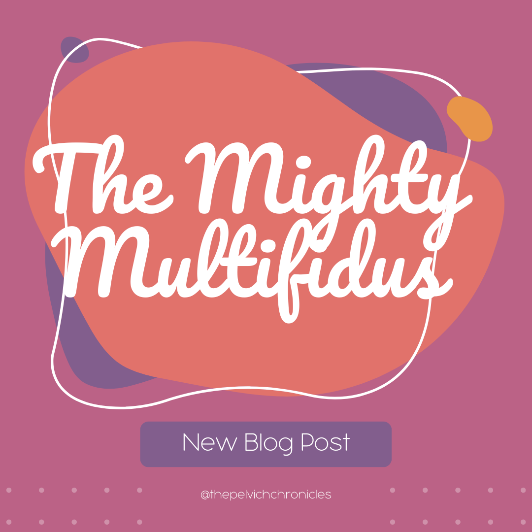 Mighty Multifidus (Mull-ti-fi-duh-ss) Muscles