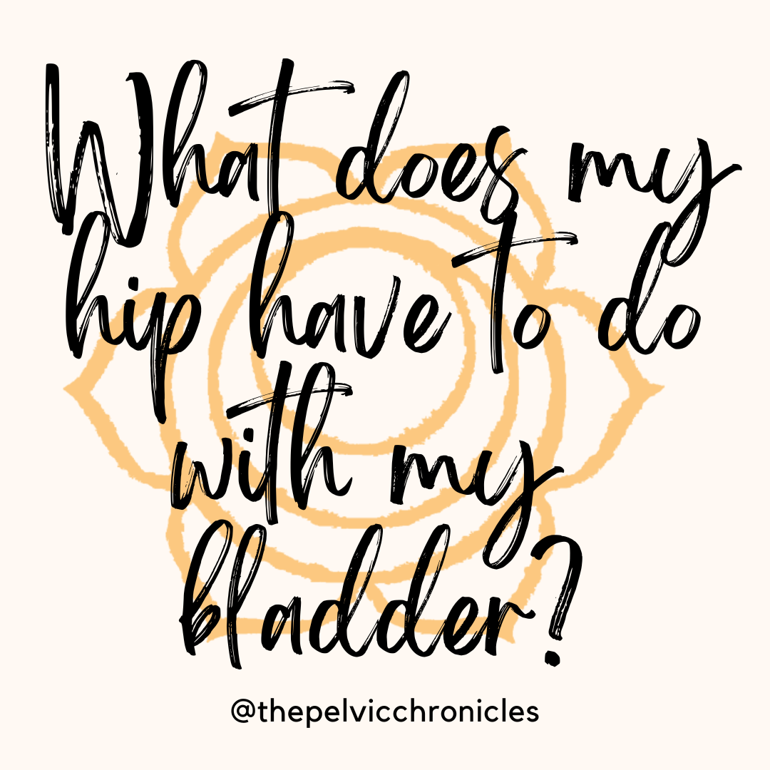 My Hip Is Connected To My Bladder?  How Urinary Symptoms Can Be Associated With Hip Musculature.