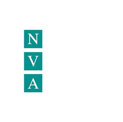 National Vulvodynia Association NVA