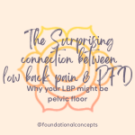 The Surprising connection betwee your low back pain and pelvic floor dysfunction