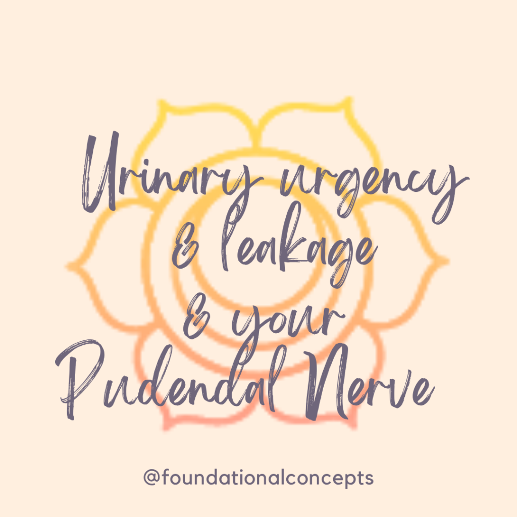 Urinary Urgency & Leakage & your Pudendal Nerve