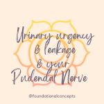 Urinary Urgency & Leakage & your Pudendal Nerve