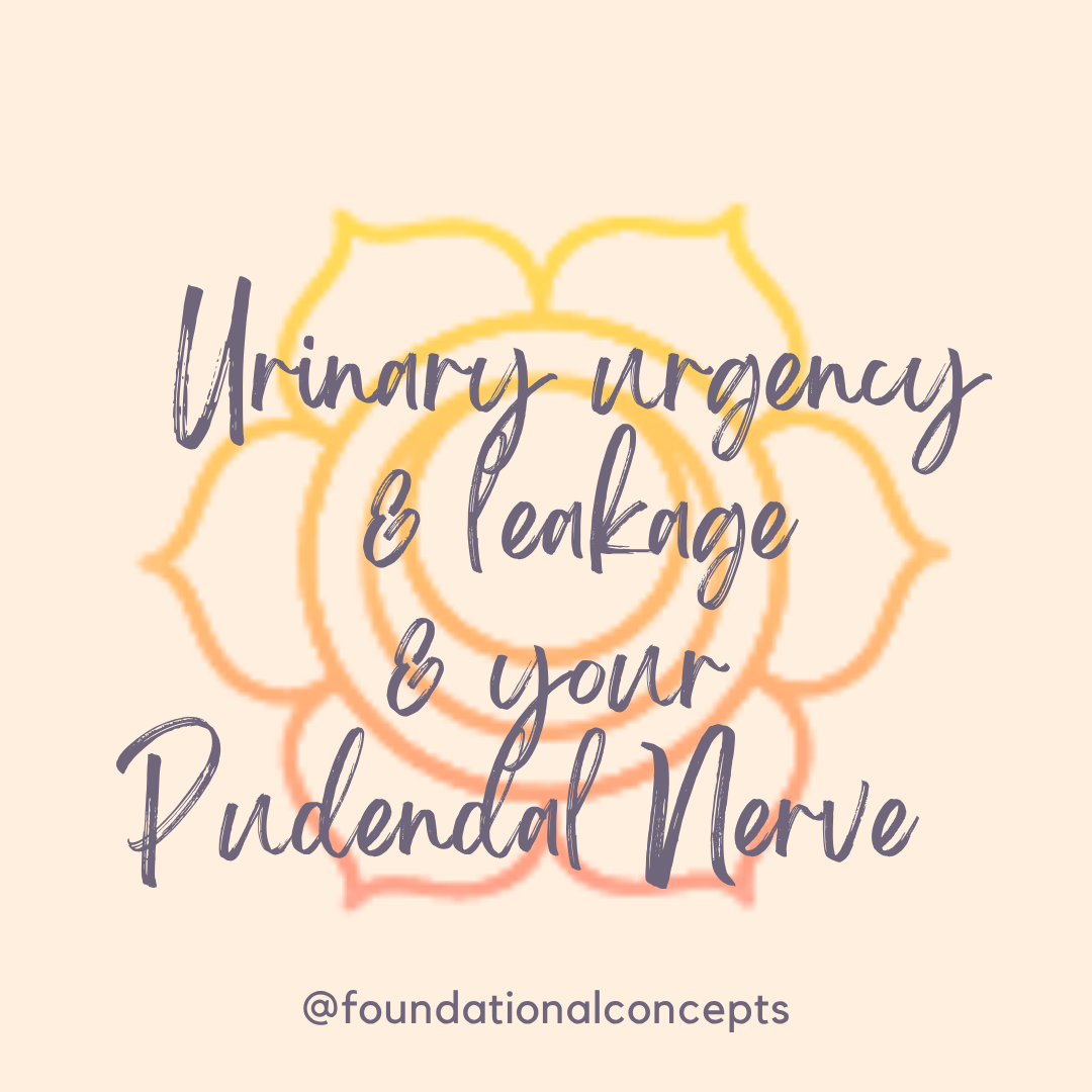 Urinary Urgency & Leakage & your Pudendal Nerve