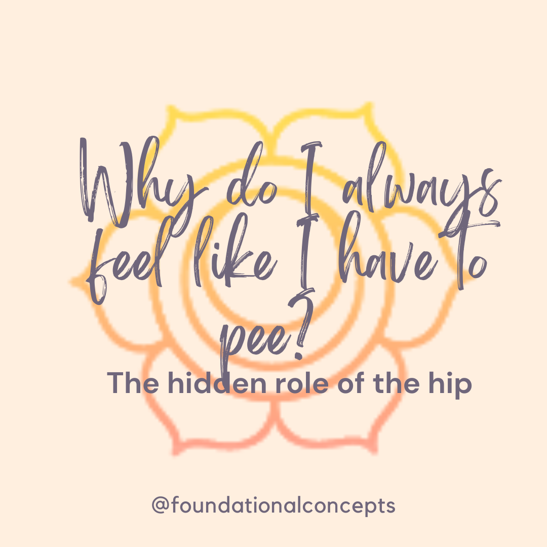 Why do I always feel like I have to pee? The hidden Role of the Hip Musculature