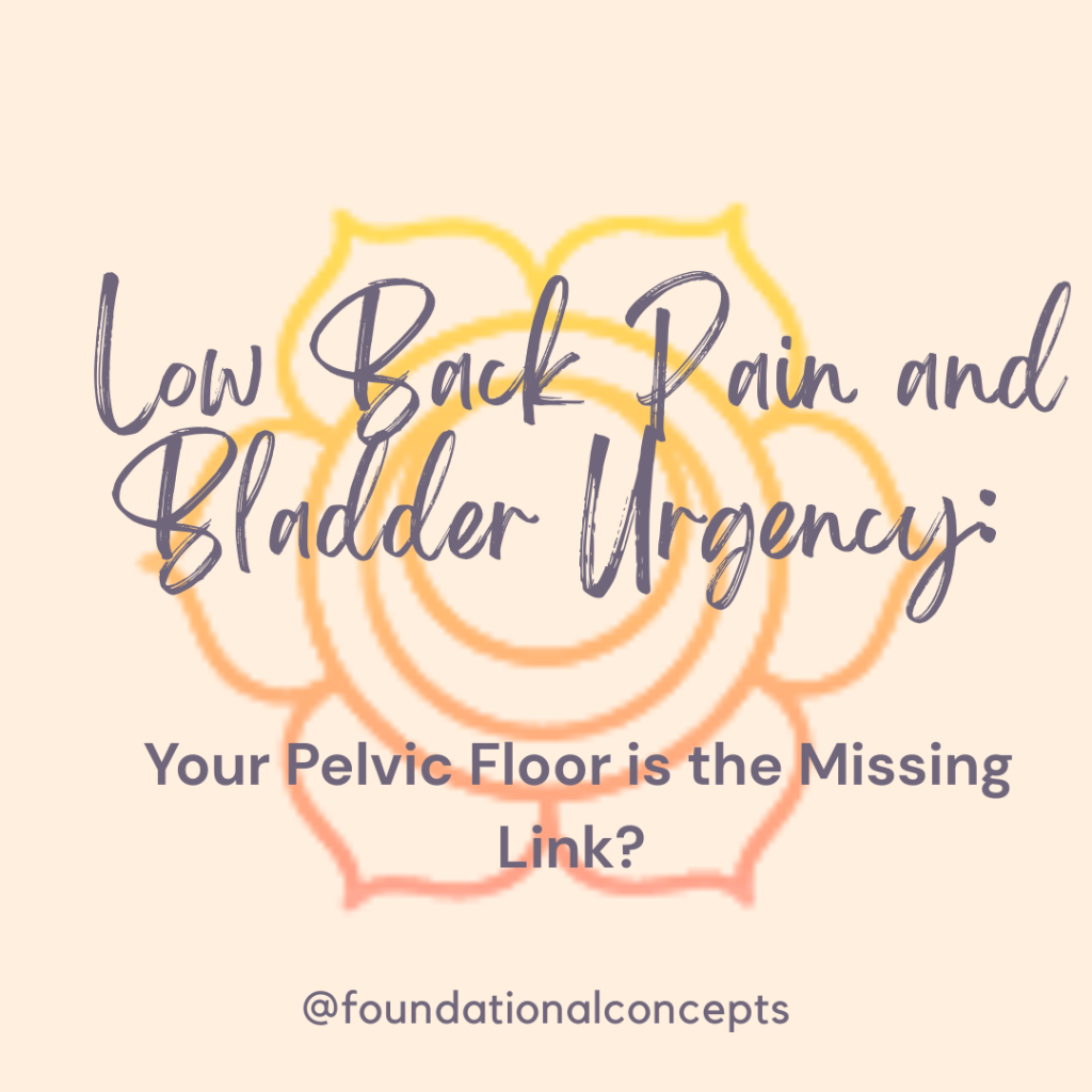 Low Back Pain and Bladder Urgency: Your Pelvic Floor is the Missing Link