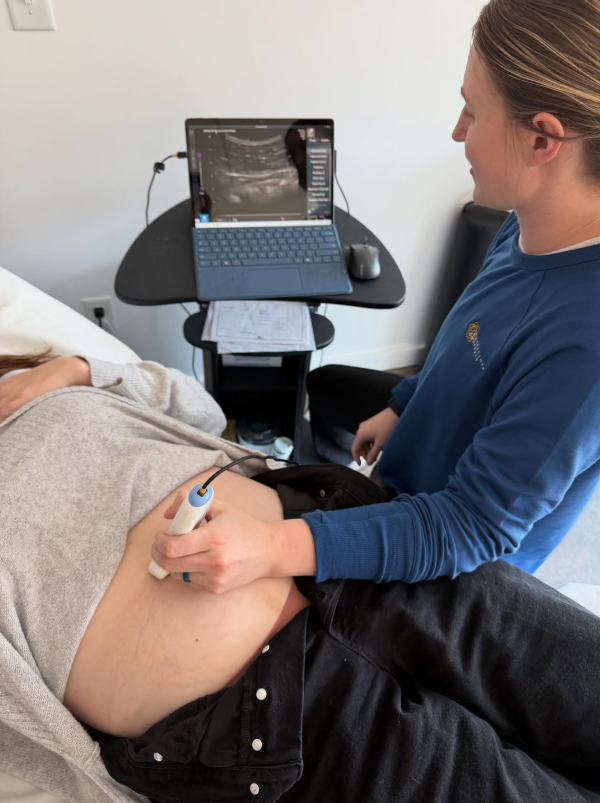 Rehabilitative Ultrasound Imaging